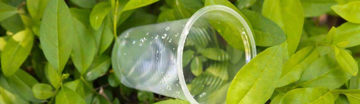 Bio-based Biodegradable Plastics