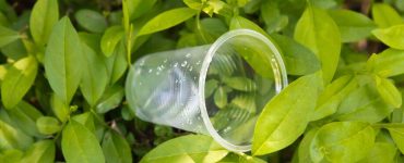 plastic cup on the nature